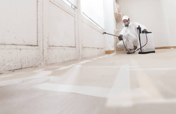 24/7 Emergency Attic Mold Removal experts in Quincy, FL